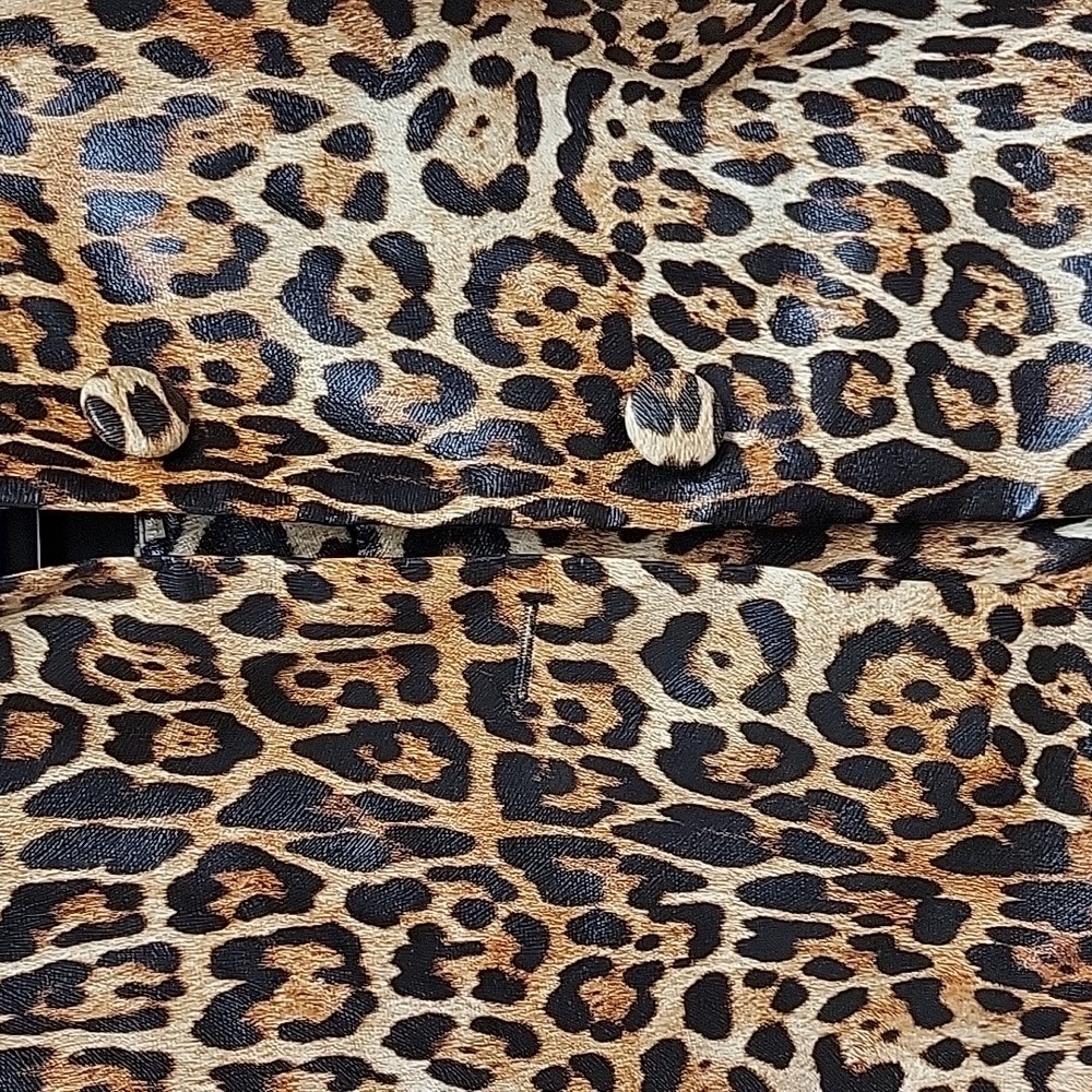 Labelrail X Dyspnea Leopard Print Jacket and Pants Set Womens Sz 8. NWT Indie - Picture 4 of 6